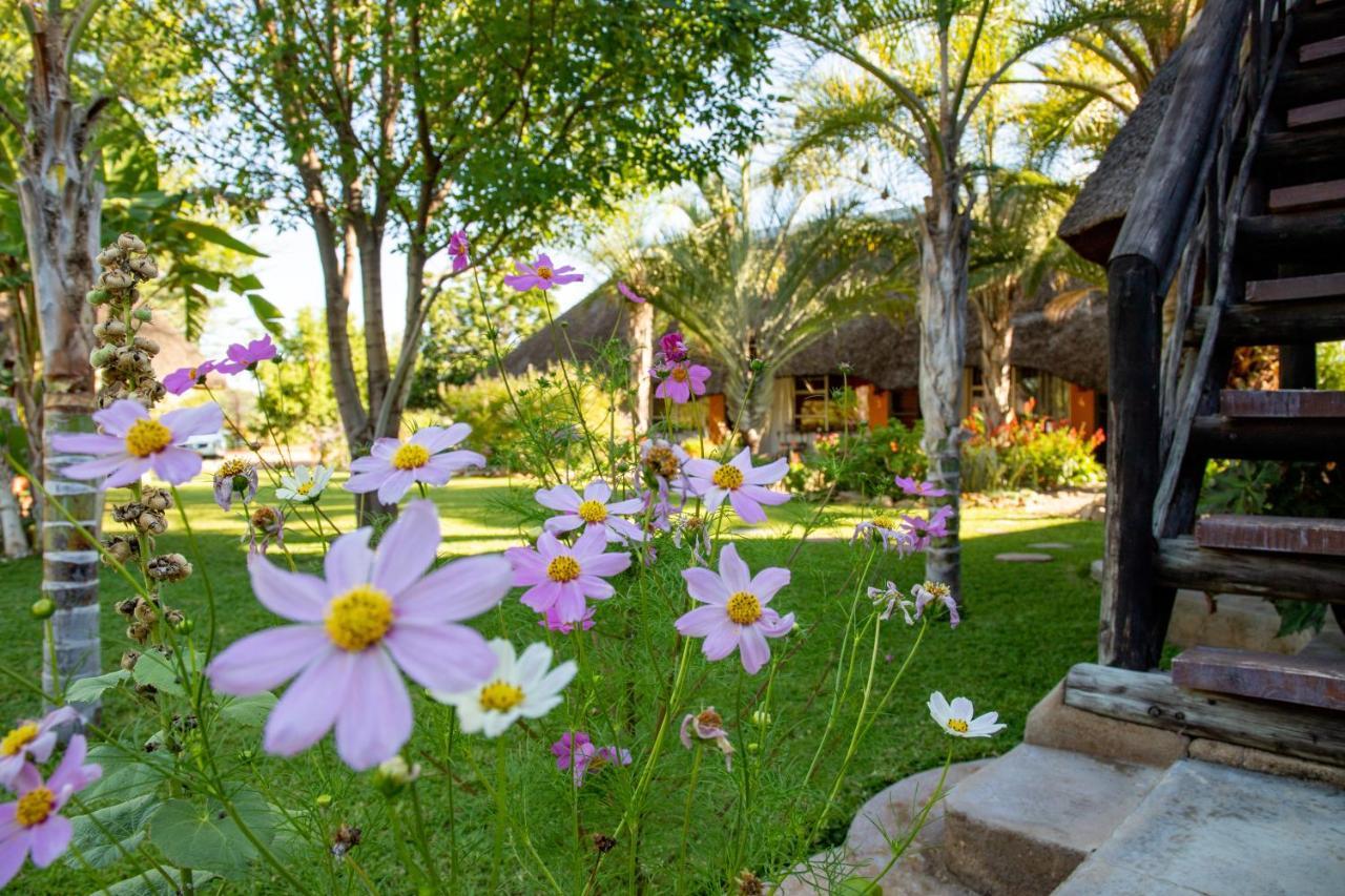 Lion'S Den Guesthouse Otjiwarongo Exterior photo