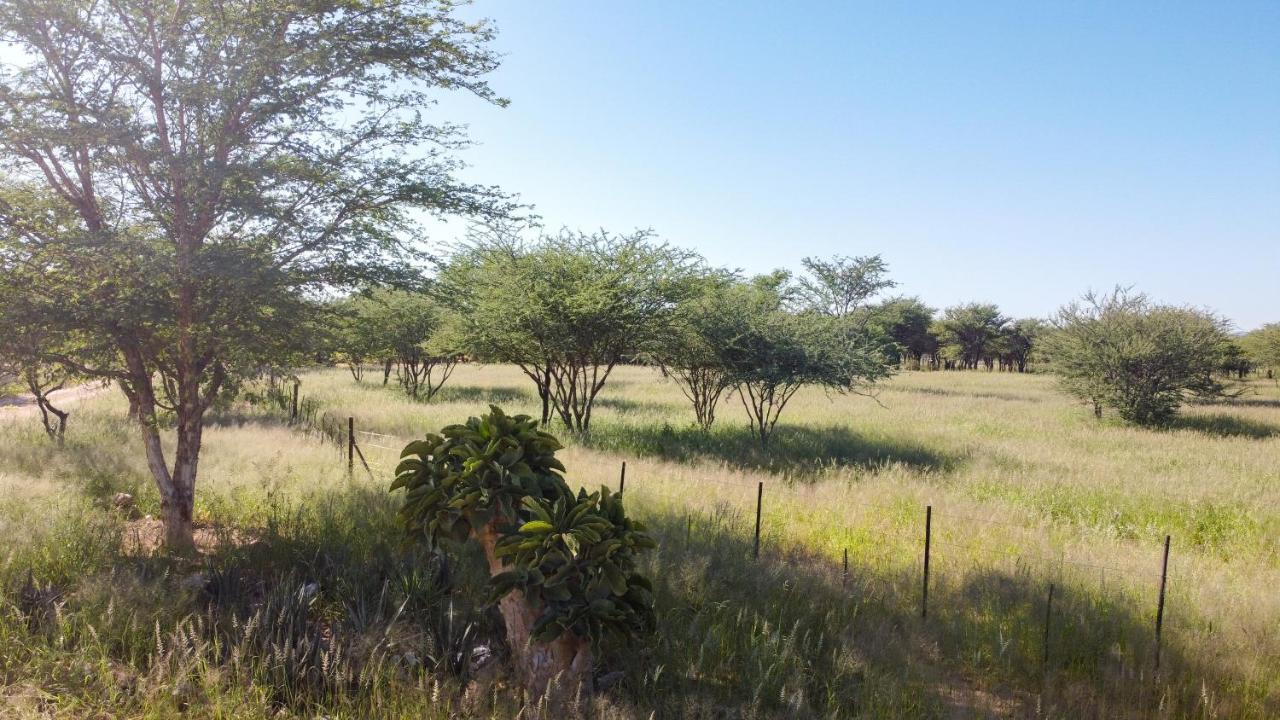 Lion'S Den Guesthouse Otjiwarongo Exterior photo
