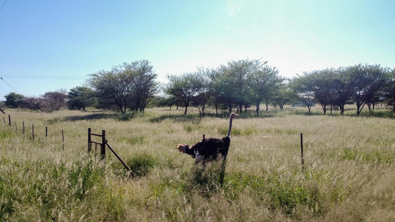 Lion'S Den Guesthouse Otjiwarongo Exterior photo